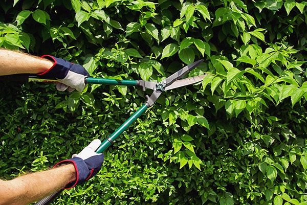 Trimming landscape management software
