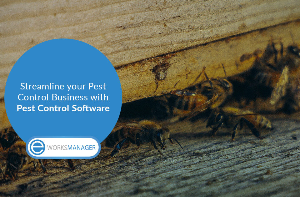 Streamline your Pest Control Business with Pest Control Software